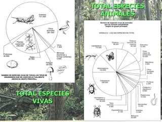 TOTAL ESPECIES
                   ANIMALES




TOTAL ESPECIES
    VIVAS
 