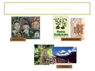 Otros valores de “lo ambiental”




ARTISTICO                      BIOPROSPECCION




                             TURISMO
 