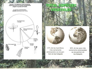 TOTAL ESPECIES
  VEGETALES
 