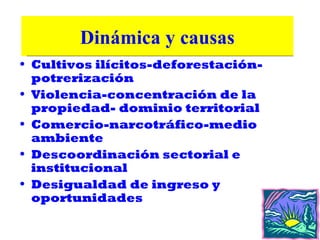 Dinámicay causas
      Dinámica y causas
• Cultivos ilícitos-deforestación-
  potrerización
• Violencia-concentración de la
  propiedad- dominio territorial
• Comercio-narcotráfico-medio
  ambiente
• Descoordinación sectorial e
  institucional
• Desigualdad de ingreso y
  oportunidades
 