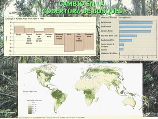 CAMBIO EN LA
COBERTURA DE BOSQUES
 