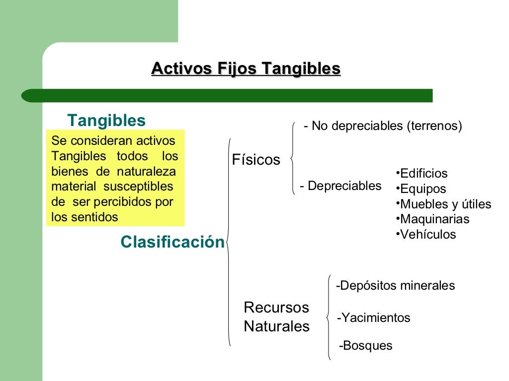 Activos fijos Activos fijos