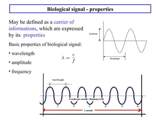 Active transport, biological signals | PPT