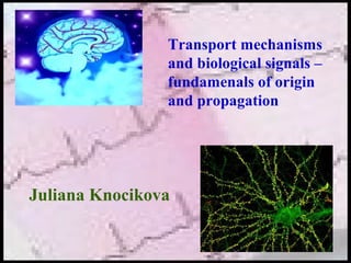 Juliana Knocikova
Transport mechanisms
and biological signals –
fundamenals of origin
and propagation
 