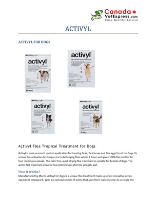 ACTIVYL
ACTIVYL FOR DOGS
Activyl Flea Tropical Treatment for Dogs
Activyl is once-a-month spot on application for treating fleas, flea larvae and flea eggs found on dogs. Its
unique bio-activation technique starts destroying fleas within 8 hours and gives 100% flea control for
four continuous weeks. The odor free, quick drying flea treatment is suitable for breeds of dogs. The
water-fast treatment ensures flea control even after the pet gets wet.
How it works?
Manufactured by Merck, Activyl for dogs is a unique flea treatment made up of an innovative active
ingredient Indoxacarb. With an exclusive mode of action that uses flea’s own enzymes to activate the
 