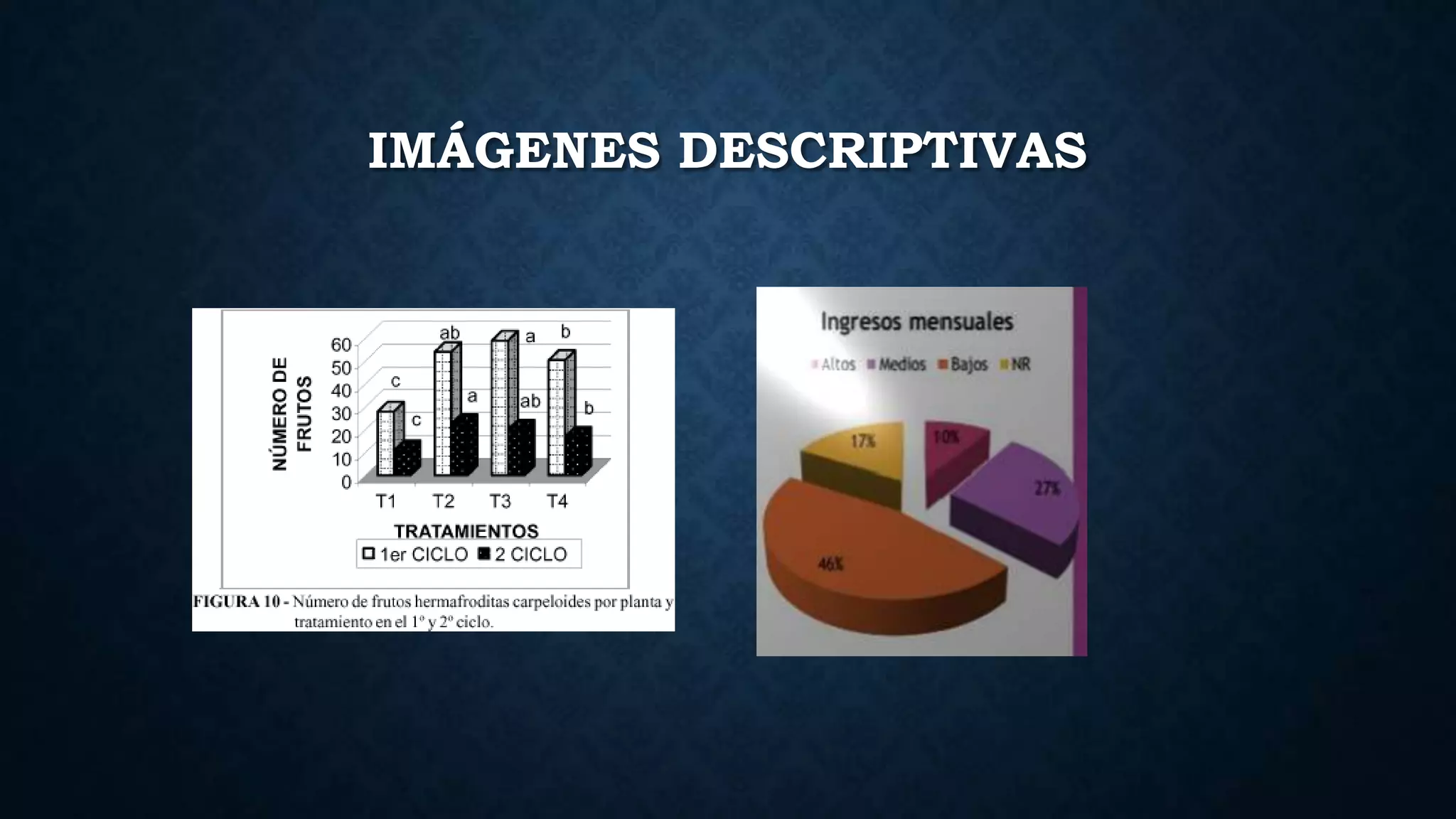 IMÁGENES DESCRIPTIVAS
 