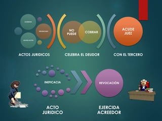 ACREEDOR

PERJUDICADO

NO
PUEDE

ACUDE
JUEZ

COBRAR

DICHOS ACTOS

ACTOS JURIDICOS

CELEBRA EL DEUDOR

CON EL TERCERO

INEFICACIA

REVOCACIÓN

ACTO
JURIDICO

EJERCIDA
ACREEDOR

 