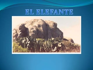 EL ELEFANTE