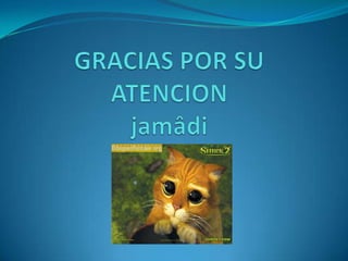 GRACIAS POR SU ATENCIONjamâdi