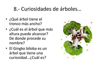 8.- Curiosidades de árboles…
• ¿Qué árbol tiene el
  tronco más ancho?
• ¿Cuál es el árbol que más
  altura puede alcanzar?
  De donde procede su
  nombre?
• El Gingko biloba es un
  árbol que tiene una
  curiosidad…¿Cuál es?
 