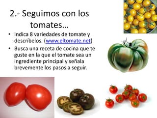 2.- Seguimos con los
      tomates…
• Indica 8 variedades de tomate y
  descríbelos. (www.eltomate.net)
• Busca una receta de cocina que te
  guste en la que el tomate sea un
  ingrediente principal y señala
  brevemente los pasos a seguir.
 