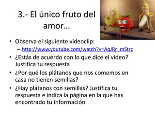3.- El único fruto del
           amor…
• Observa el siguiente videoclip:
  – http://www.youtube.com/watch?v=AqJRr_mStrc
• ¿Estás de acuerdo con lo que dice el vídeo?
  Justifica tu respuesta
• ¿Por qué los plátanos que nos comemos en
  casa no tienen semillas?
• ¿Hay plátanos con semillas? Justifica tu
  respuesta e indica la página en la que has
  encontrado tu información
 