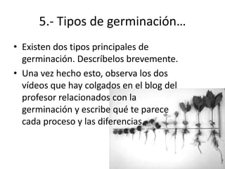 5.- Tipos de germinación…
• Existen dos tipos principales de
  germinación. Descríbelos brevemente.
• Una vez hecho esto, observa los dos
  vídeos que hay colgados en el blog del
  profesor relacionados con la
  germinación y escribe qué te parece
  cada proceso y las diferencias.
 