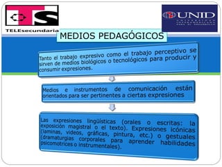 MEDIOS PEDAGÓGICOS 