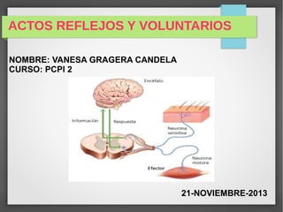 ACTOS REFLEJOS Y VOLUNTARIOS
NOMBRE: VANESA GRAGERA CANDELA
CURSO: PCPI 2
21-NOVIEMBRE-2013
 