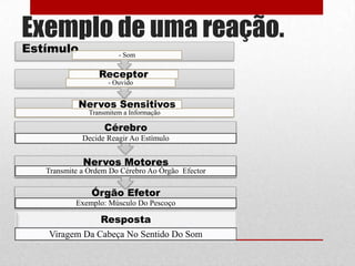 Exemplo de uma reação.
Transmitem a Informação
- Ouvido
Nervos Sensitivos
Estímulo - Som
Receptor
Órgão Efetor
Exemplo: Músculo Do Pescoço
Nervos Motores
Transmite a Ordem Do Cérebro Ao Órgão Efector
Cérebro
Decide Reagir Ao Estímulo
Resposta
Viragem Da Cabeça No Sentido Do Som
 