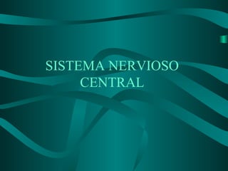 SISTEMA NERVIOSO
CENTRAL