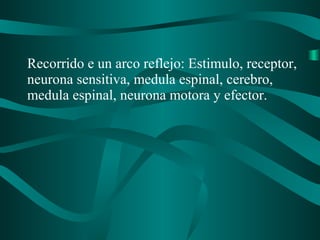 Recorrido e un arco reflejo: Estimulo, receptor,
neurona sensitiva, medula espinal, cerebro,
medula espinal, neurona motora y efector.