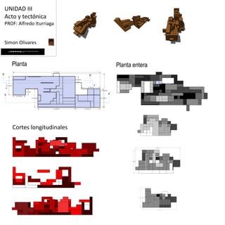 UNIDAD IIIActo y tectónicaPROF: Alfredo IturriagaSimon OlivaresPlantaPlanta enterabb´c´ca´aCortes longitudinales