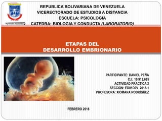 REPUBLICA BOLIVARIANA DE VENEZUELA
VICERECTORADO DE ESTUDIOS A DISTANCIA
ESCUELA: PSICOLOGIA
CATEDRA: BIOLOGIA Y CONDUCTA (LABORATORIO)
ETAPAS DEL
DESARROLLO EMBRIONARIO
PARTICIPANTE: DANIEL PEÑA
C.I.: 10.912.685
ACTIVIDAD PRACTICA 2
SECCION: ED01D0V 2018-1
PROFESORA: XIOMARA RODRIGUEZ
FEBRERO 2018
 