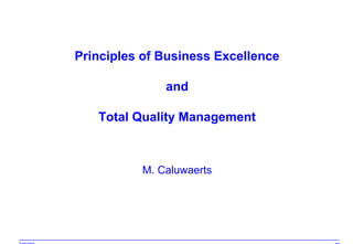 Principles of Business Excellence
and
Total Quality Management
M. Caluwaerts
 