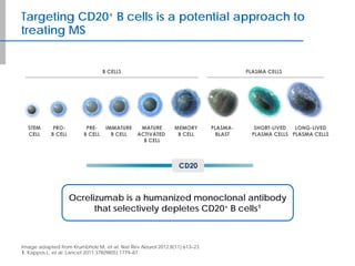 Targeting CD20+ B cells is a potential approach to
treating MS
Image adapted from Krumbholz M, et al. Nat Rev Neurol 2012;8(11):613–23.
1. Kappos L, et al. Lancet 2011;378(9805):1779–87.
Ocrelizumab is a humanized monoclonal antibody
that selectively depletes CD20+ B cells1
 