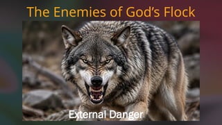 The Enemies of God’s Flock
External Danger
 