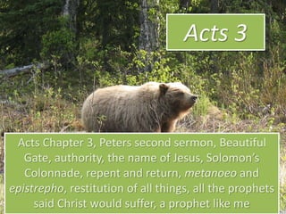 Acts 3
Acts Chapter 3, Peters second sermon, Beautiful
Gate, authority, the name of Jesus, Solomon’s
Colonnade, repent and return, metanoeo and
epistrepho, restitution of all things, all the prophets
said Christ would suffer, a prophet like me
 