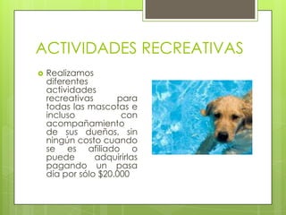 ACTIVIDADES RECREATIVAS
   Realizamos
    diferentes
    actividades
    recreativas      para
    todas las mascotas e
    incluso           con
    acompañamiento
    de sus dueños, sin
    ningún costo cuando
    se es afiliado o
    puede       adquirirlas
    pagando un pasa
    día por sólo $20.000
 