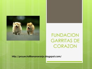FUNDACION
                                 GARRITAS DE
                                  CORAZON

http://proyectoliliananaranjo.blogspot.com/
 