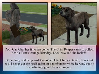 Poor Cha Cha, her time has come! The Grim Reaper came to collect
     her on Tom's teenage birthday. Look how sad she looks!!

 Something odd happened too. When Cha Cha was taken, Leo went
too. I never got the notification or a tombstone where he was, but he
                   is definitely gone! How strange...
 