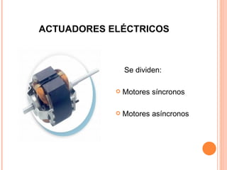 ACTUADORES ELÉCTRICOS Se dividen: Motores síncronos Motores asíncronos 