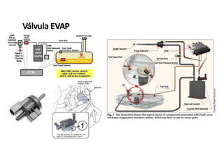 Válvula EVAP
 