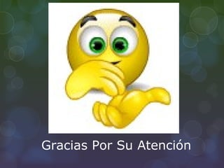 Gracias Por Su Atención
 