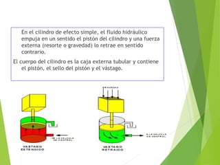 En el cilindro de efecto simple, el fluido hidráulico 
empuja en un sentido el pistón del cilindro y una fuerza 
externa (resorte o gravedad) lo retrae en sentido 
contrario. 
El cuerpo del cilindro es la caja externa tubular y contiene 
el pistón, el sello del pistón y el vástago. 
 