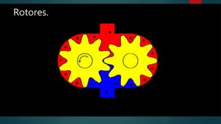 Rotores.
 