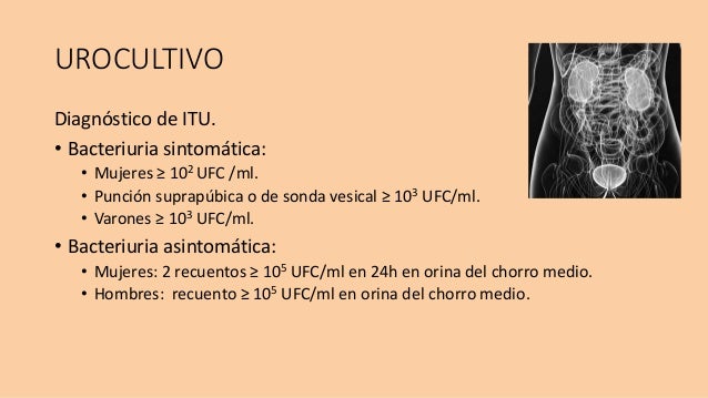 Actuakizacion En El Manejo De Las Infecciones De Orina