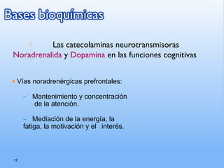 17
 Las catecolaminas neurotransmisoras
Noradrenalida y Dopamina en las funciones cognitivas
• Vías noradrenérgicas prefrontales:
– Mantenimiento y concentración
de la atención.
– Mediación de la energía, la
fatiga, la motivación y el interés.
 