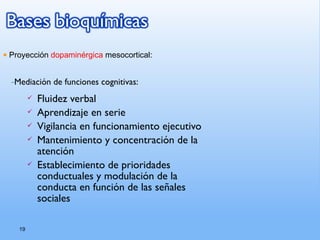 19
–Mediación de funciones cognitivas:
 Fluidez verbal
 Aprendizaje en serie
 Vigilancia en funcionamiento ejecutivo
 Mantenimiento y concentración de la
atención
 Establecimiento de prioridades
conductuales y modulación de la
conducta en función de las señales
sociales
• Proyección dopaminérgica mesocortical:
 