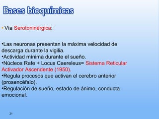 21
• Vía Serotoninérgica:
•Las neuronas presentan la máxima velocidad de
descarga durante la vigilia.
•Actividad mínima durante el sueño.
•Núcleos Rafe + Locus Caereleus= Sistema Reticular
Activador Ascendente (1950).
•Regula procesos que activan el cerebro anterior
(prosencéfalo).
•Regulación de sueño, estado de ánimo, conducta
emocional.
 