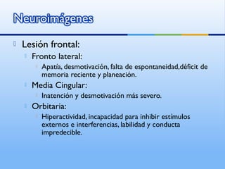  Lesión frontal:
 Fronto lateral:
 Apatía, desmotivación, falta de espontaneidad,déficit de
memoria reciente y planeación.
 Media Cingular:
 Inatención y desmotivación más severo.
 Orbitaria:
 Hiperactividad, incapacidad para inhibir estímulos
externos e interferencias, labilidad y conducta
impredecible.
 