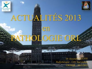 ACTUALITÉS 2013
en
PATHOLOGIE ORL
Dr Alexandre COUTTE
Radiothérapie – CHU Sud Amiens
CRONOR – 16/11/2013
 