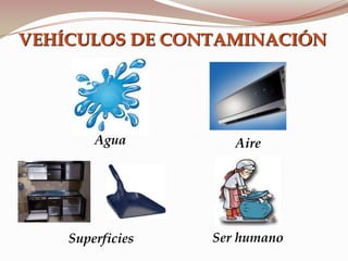 Agua
VEHÍCULOS DE CONTAMINACIÓN
Aire
Ser humanoSuperficies
 