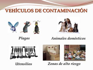 VEHÍCULOS DE CONTAMINACIÓN
Animales domésticosPlagas
Zonas de alto riesgoUtensilios
 