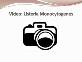 Video: Listeria Monocytogenes
 