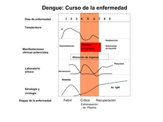 Dengue: Curso de la enfermedad 1  2  3  4  5  6  7  8  9  40 Viremia Etapas de la enfermedad   Febril  Crítica  Recuperación Choque  Hemorragias Reabsorción Sobrecarga  de líquidos Deshidratación Alteración de órganos Días de enfermedad Temperatura Manifestaciones  clínicas potenciales Laboratorio  clínico Serología y  virología Plaquetas Hematocrito Extravasación de  Plasma Ac  IgM 