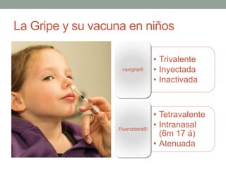 La Gripe y su vacuna en niños
• Trivalente
• Inyectada
• Inactivada
vaxigrip®
• Tetravalente
• Intranasal
(6m 17 á)
• Atenuada
Fluenztetra®
 