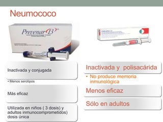 Neumococo
Inactivada y conjugada
• Menos serotipos
Más eficaz
Utilizada en niños ( 3 dosis) y
adultos inmunocomprometidos)
dosis única
Inactivada y polisacárida
• No produce memoria
inmunológica
Menos eficaz
Sólo en adultos
 