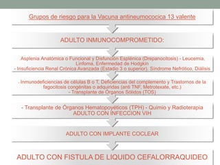 ADULTO CON FISTULA DE LIQUIDO CEFALORRAQUIDEO
ADULTO CON IMPLANTE COCLEAR
- Transplante de Órganos Hematopoyéticos (TPH) - Quimio y Radioterapia
ADULTO CON INFECCION VIH
- Inmunodeficiencias de células B o T, Deficiencias del complemento y Trastornos de la
fagocitosis congénitas o adquiridas (anti TNF, Metrotexate, etc.)
- Transplante de Órganos Sólidos (TOS)
- Asplenia Anatómica o Funcional y Disfunción Esplénica (Drepanocitosis) - Leucemia,
Linfoma, Enfermedad de Hodgkin
- Insuficiencia Renal Crónica Avanzada (Estadio 3 o superior). Síndrome Nefrótico, Diálisis
ADULTO INMUNOCOMPROMETIDO:
Grupos de riesgo para la Vacuna antineumococica 13 valente
 