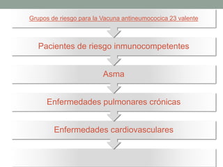 Enfermedades cardiovasculares
Enfermedades pulmonares crónicas
Asma
Pacientes de riesgo inmunocompetentes
Grupos de riesgo para la Vacuna antineumococica 23 valente
 
